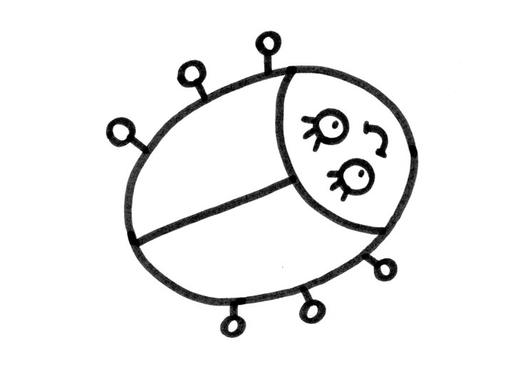 9